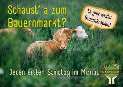 Klicken Sie auf das Bild, um es zu vergrößern