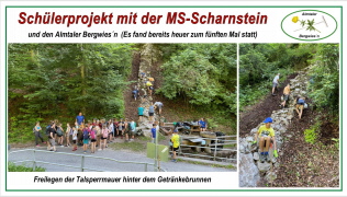 Klicken Sie auf das Bild, um es zu vergrößern