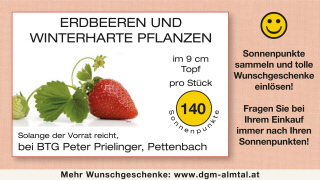 Klicken Sie auf das Bild, um es zu vergrößern