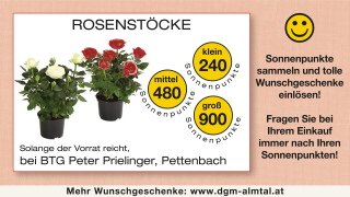 Klicken Sie auf das Bild, um es zu vergrößern