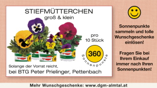 Klicken Sie auf das Bild, um es zu vergrößern