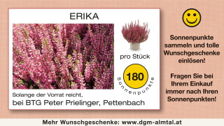 Klicken Sie auf das Bild, um es zu vergrößern