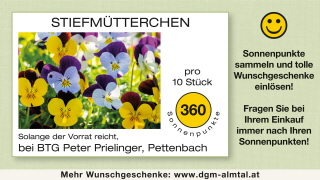 Klicken Sie auf das Bild, um es zu vergr&ouml;&szlig;ern