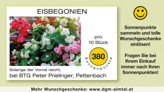 Klicken Sie auf das Bild, um es zu vergr&ouml;&szlig;ern