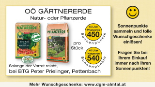 Klicken Sie auf das Bild, um es zu vergr&ouml;&szlig;ern
