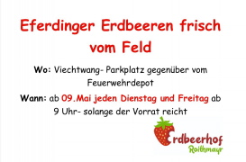Klicken Sie auf das Bild, um es zu vergrößern