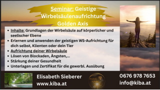 Klicken Sie auf das Bild, um es zu vergrößern