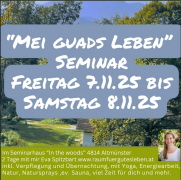 Klicken Sie auf das Bild, um es zu vergrößern