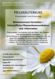 Klicken Sie auf das Bild, um es zu vergrößern