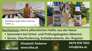 Klicken Sie auf das Bild, um es zu vergr&ouml;&szlig;ern