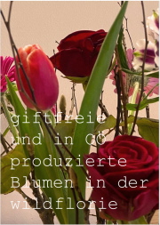 Klicken Sie auf das Bild, um es zu vergr&ouml;&szlig;ern