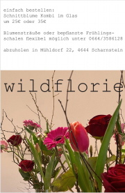 Klicken Sie auf das Bild, um es zu vergr&ouml;&szlig;ern