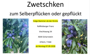 Klicken Sie auf das Bild, um es zu vergr&ouml;&szlig;ern